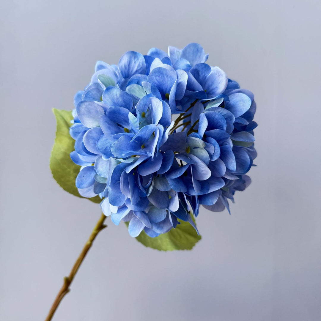 Floral Decorative