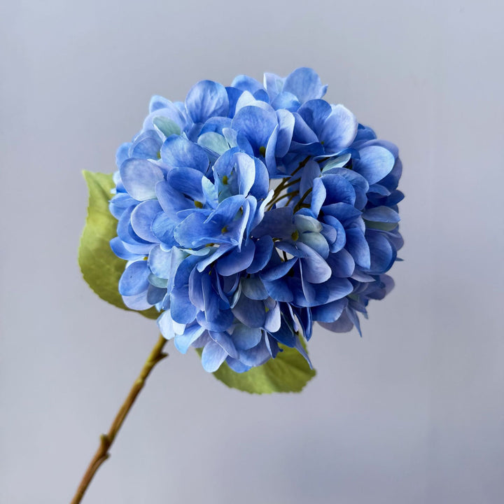 Floral Decorative