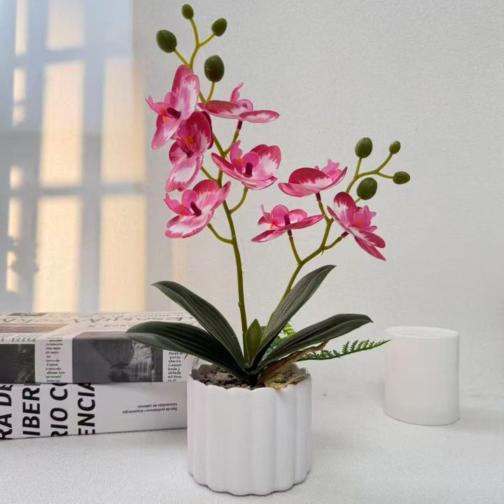 Home Decorative Artificial Orchid for Indoor Decorative Display