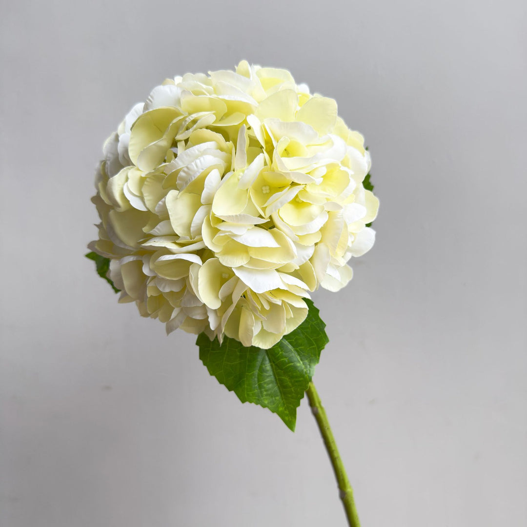 Lifelike Hydrangea Stem
