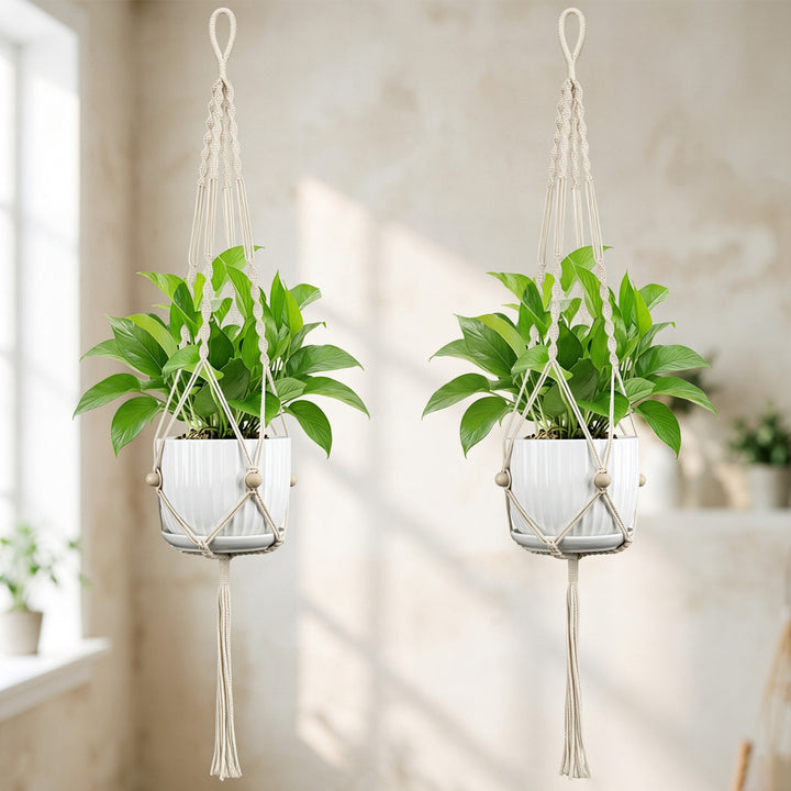 Macramé Plant Hanger