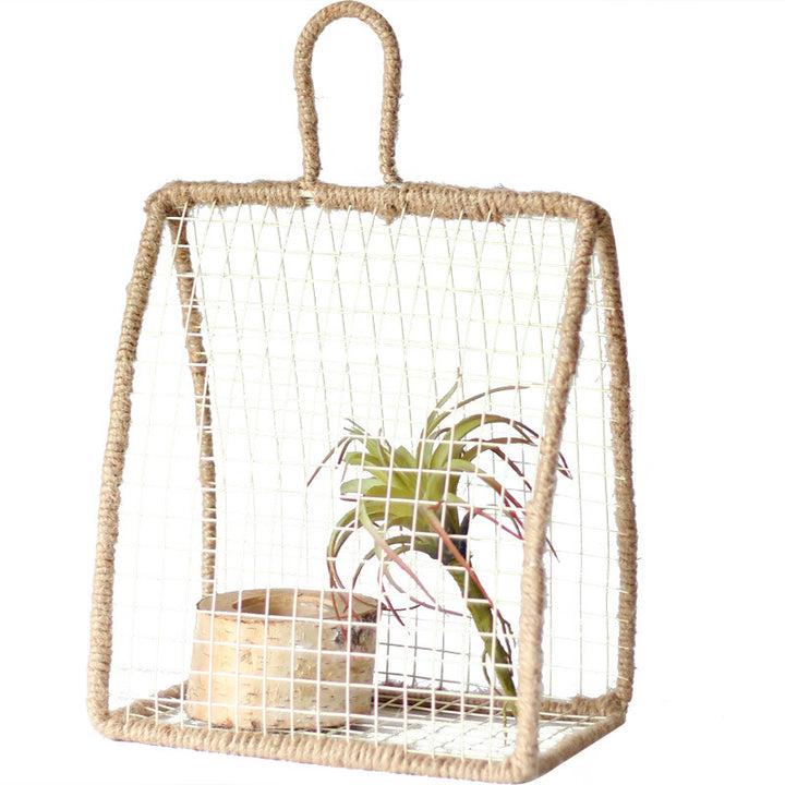 Decorative plant protection Kalsten