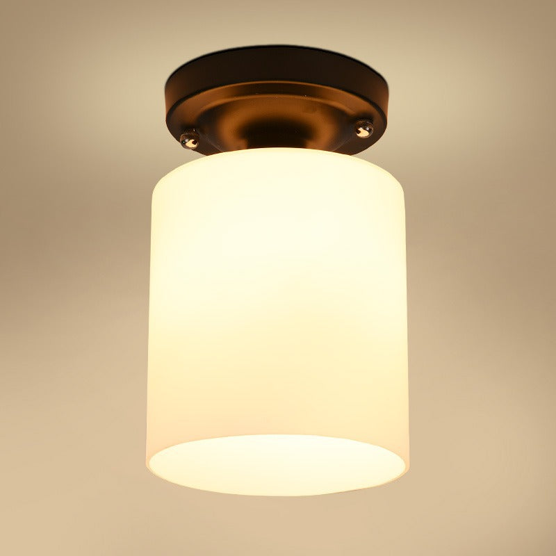 Modern Flush Mount Ceiling Light