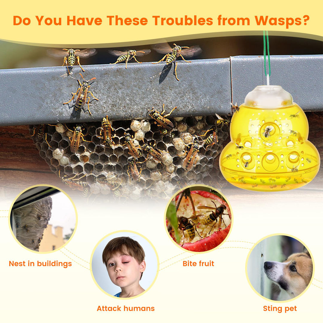 Wasp safety trap Kalsten