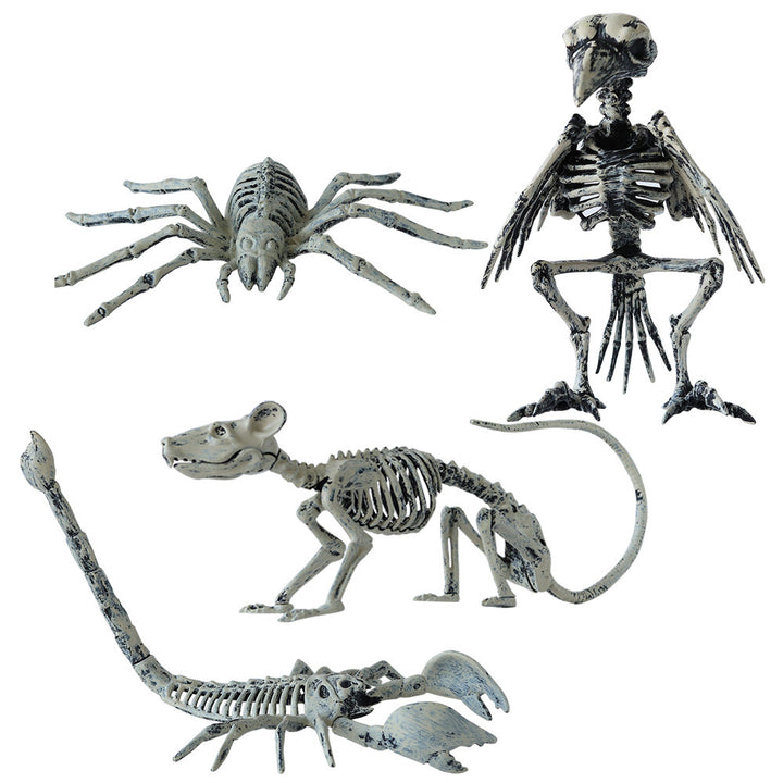 Decorative Animal Skeletons Kalsten