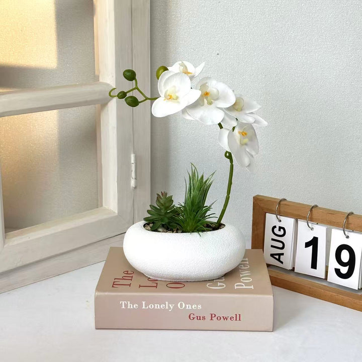 Elegant Orchid and Succulent Planter