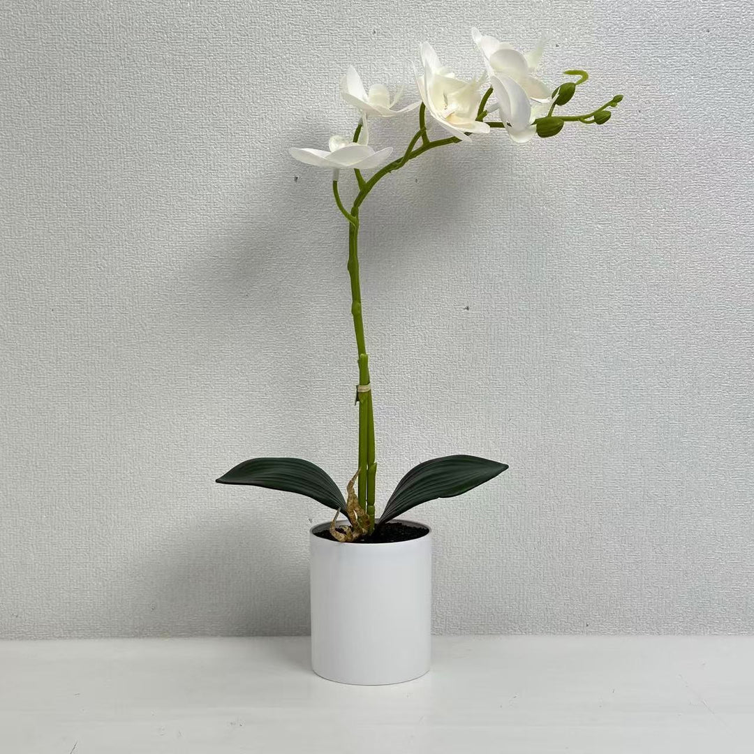 Realistic Artificial Orchid Stem