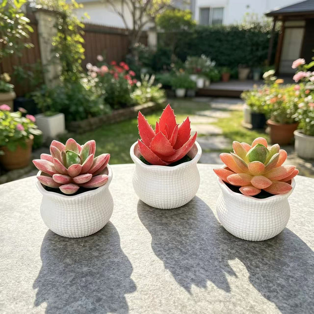 Decorative Faux Cactus Arrangement