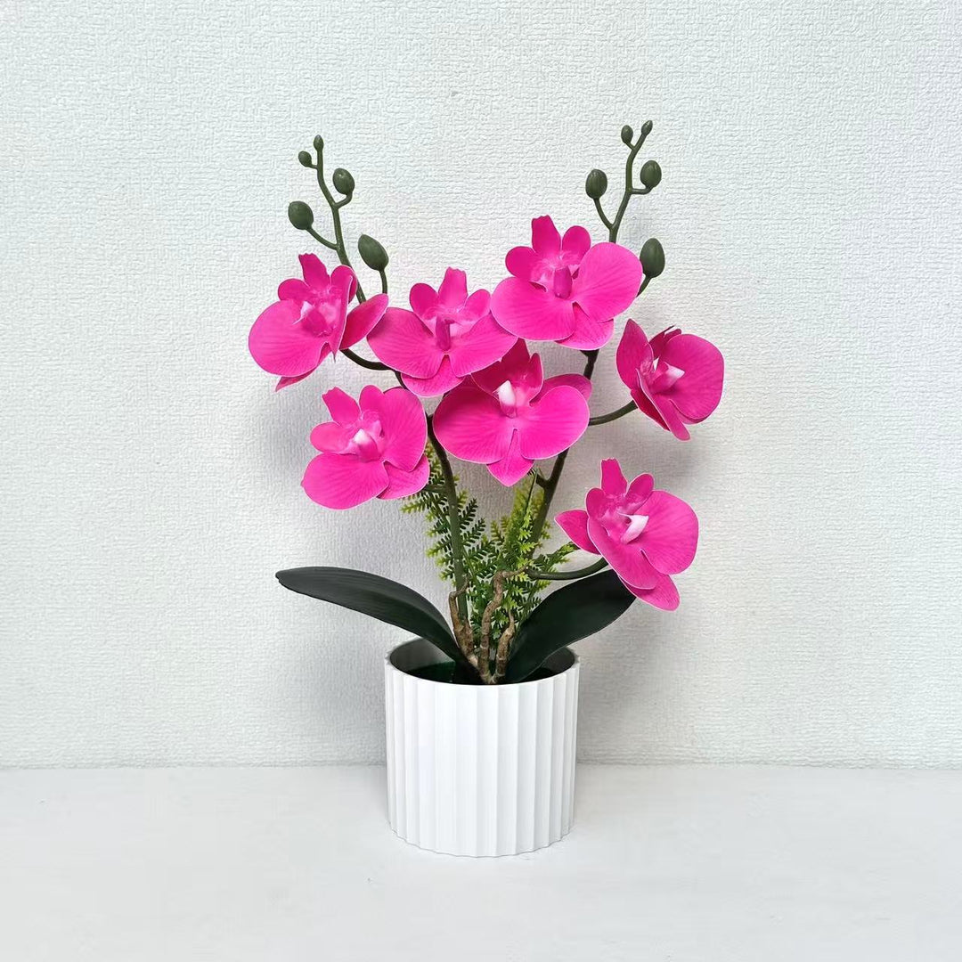 Realistic Orchid Plant Arrangement