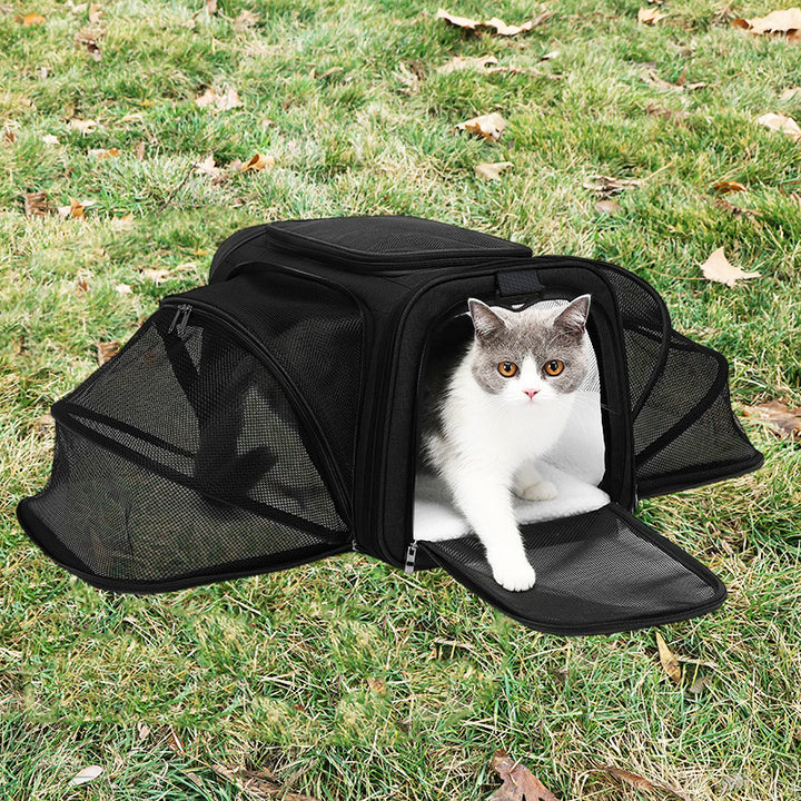 Transport bag Kalsten