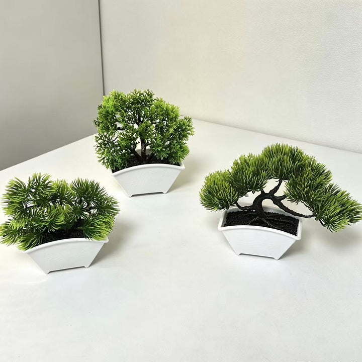 Decorative Bonsai Tree 1790480631 for Home Decor
