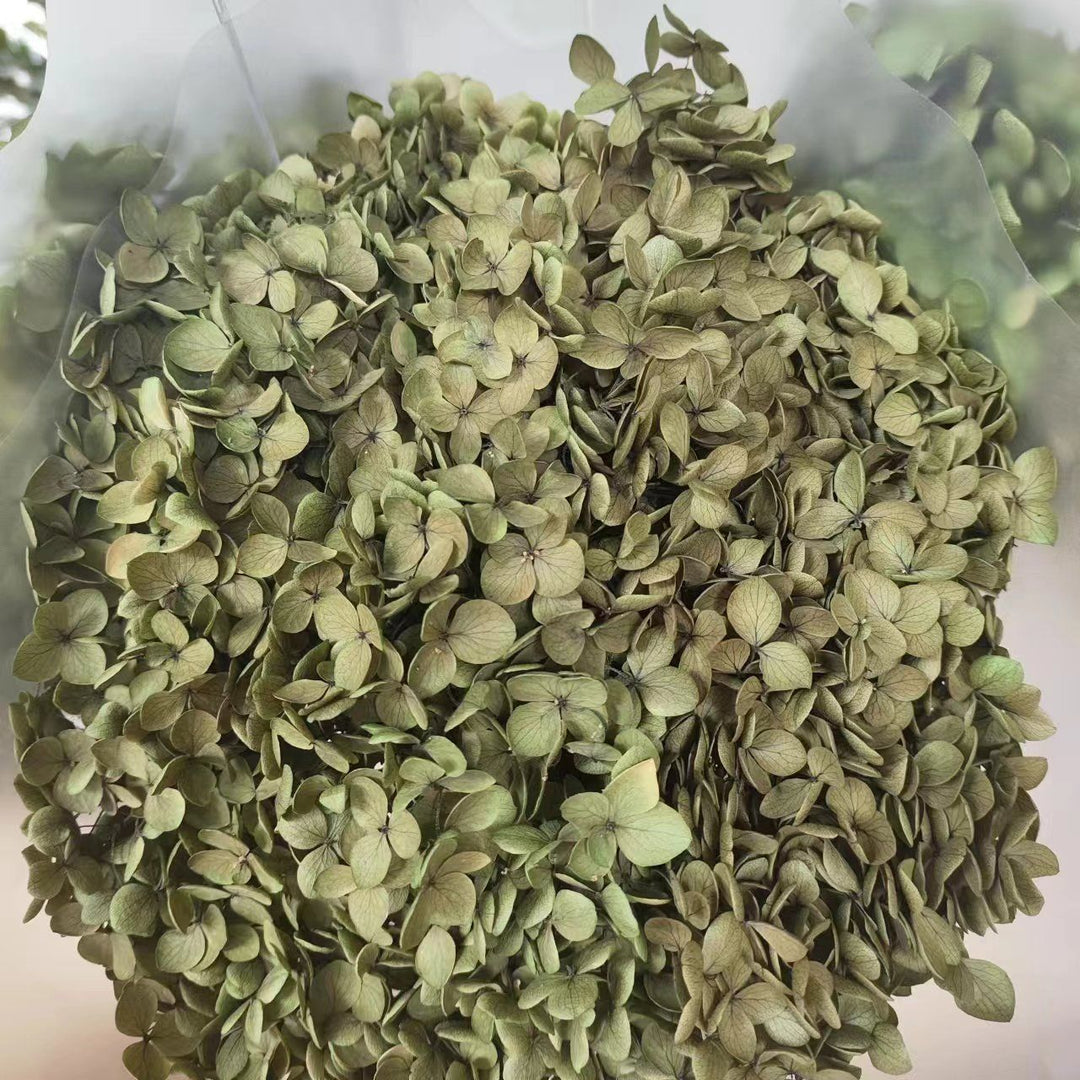 Dried Floral Petals
