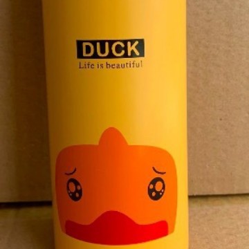 Insulated Kids Water Bottle Kalsten