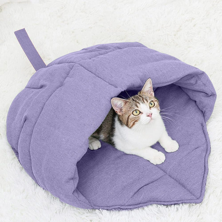 Cozy cat cave Kalsten