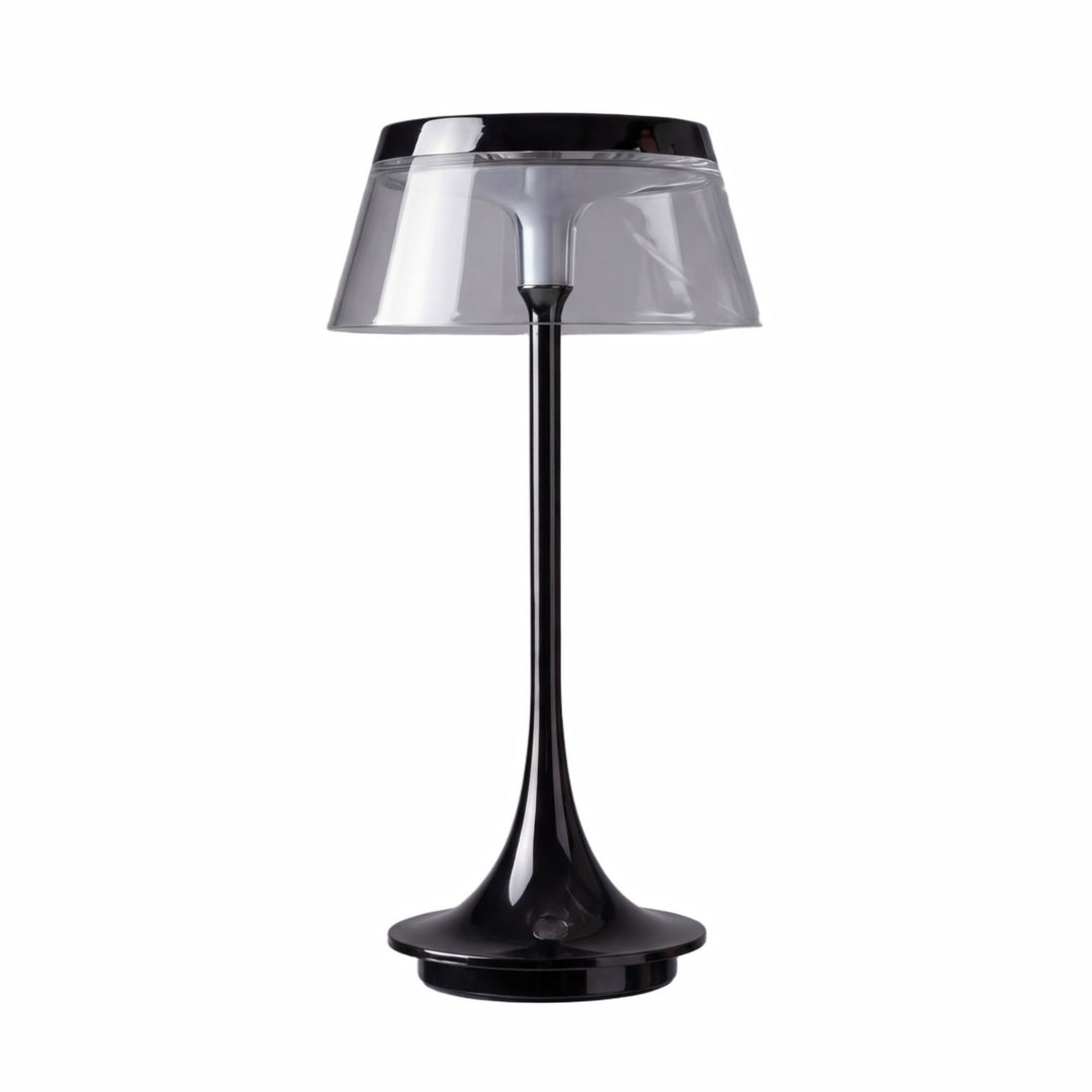 Contemporary Desk Lamp