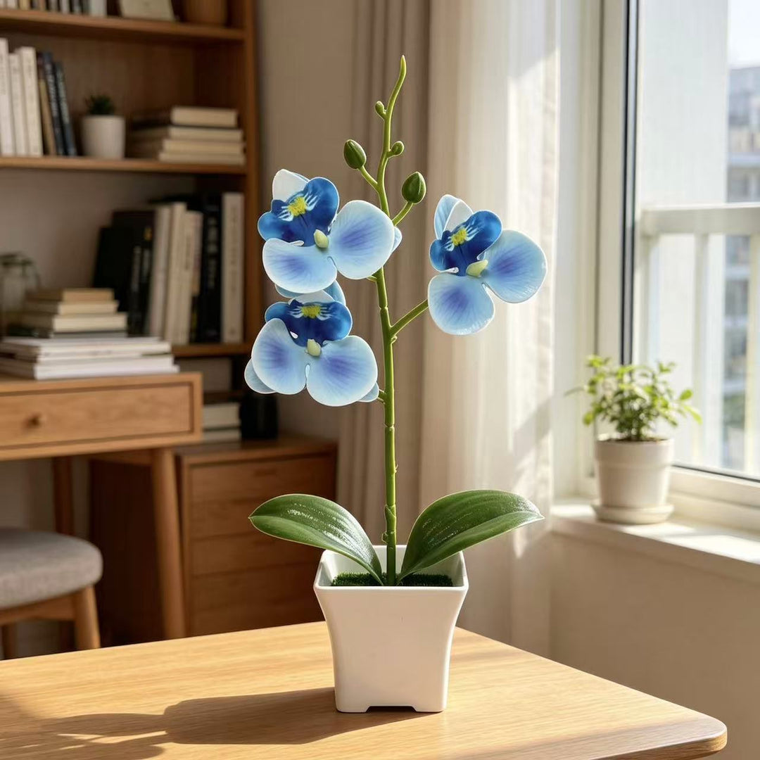 Artificial Orchid Arrangement for Home and Office Decor