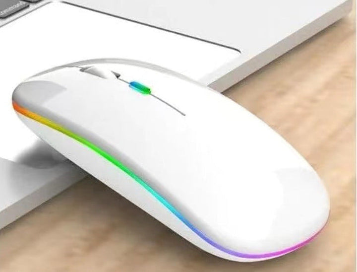 Wireless Ergonomic Mouse Kalsten