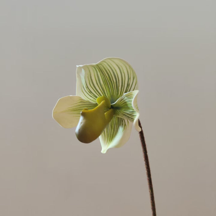 Realistic Orchid Stem Vase Decoration