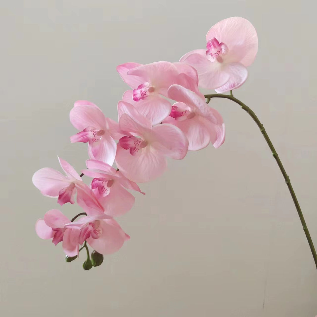 Realistic Orchid Floral Arrangement