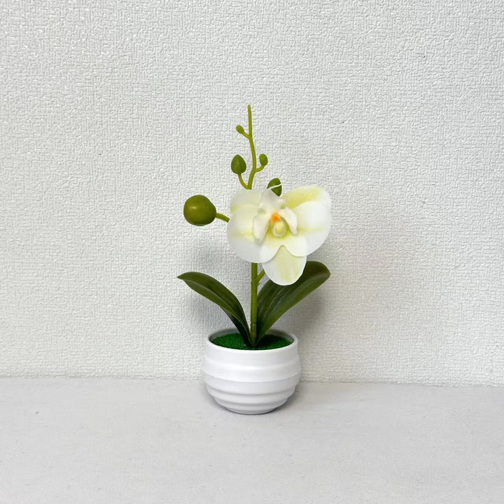 Lifelike Orchid Flower Pot Decoration