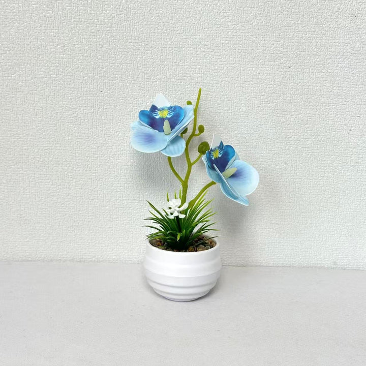 Decorative Miniature Orchid Centerpiece