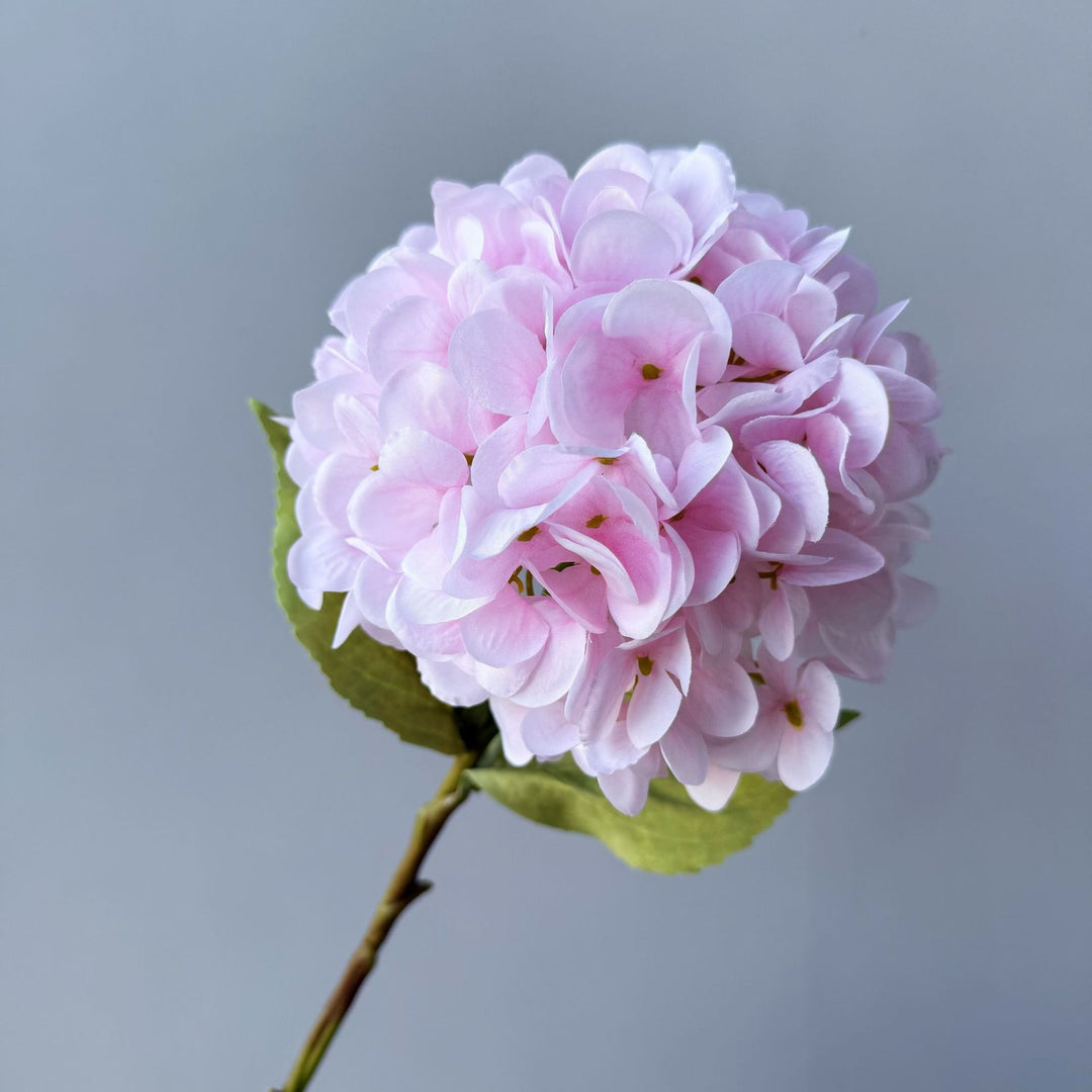 Floral Decorative