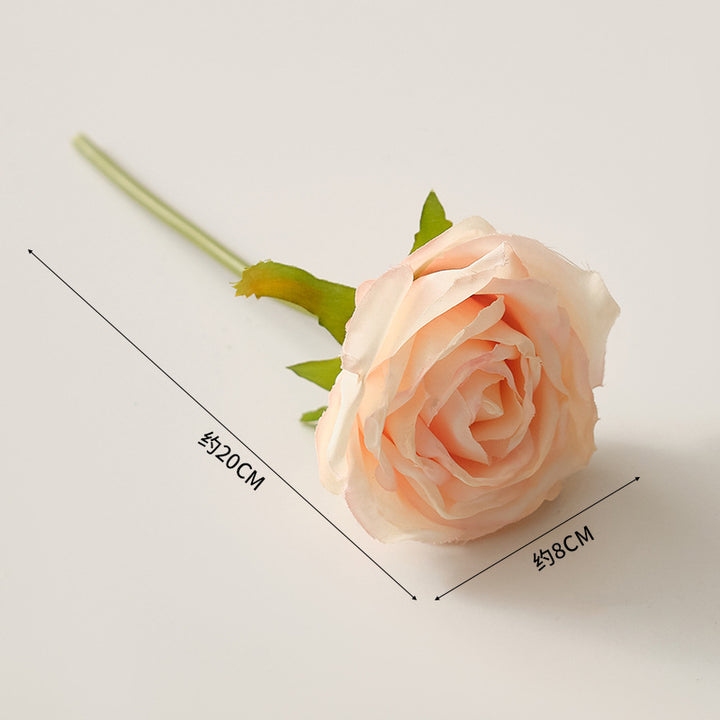 Geometric Table Plant Holder