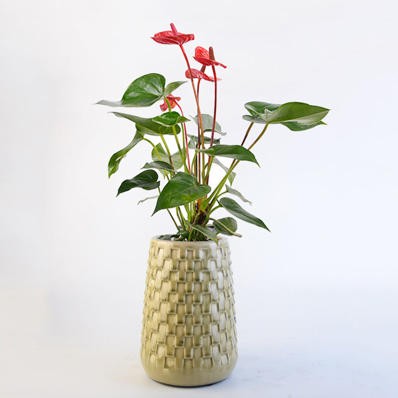 Decorative Flower Pots Kalsten