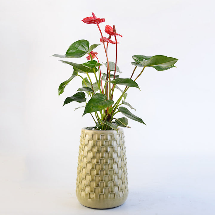 Decorative Flower Pots Kalsten