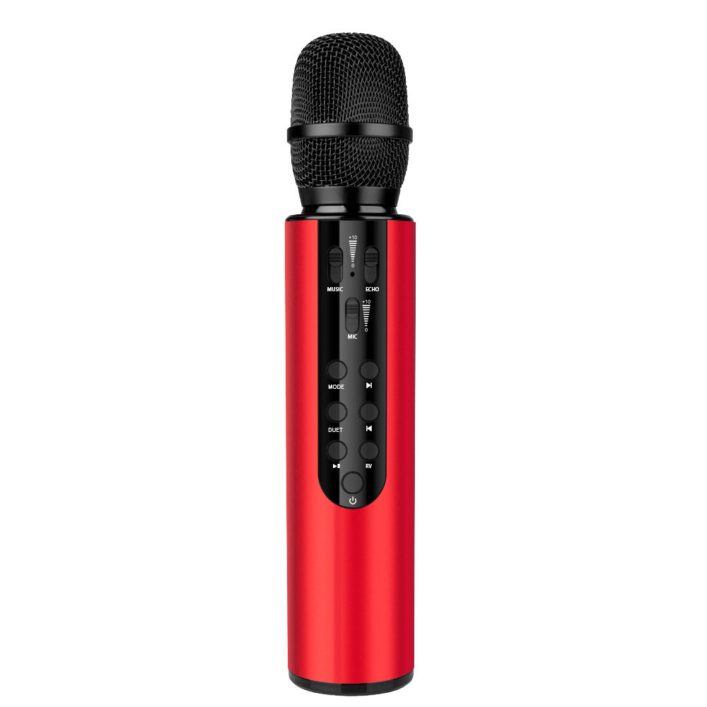 Wireless Karaoke Microphone with Echo Control Kalsten