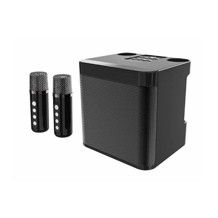 Wireless Karaoke Speaker System with Dual Microphones Kalsten