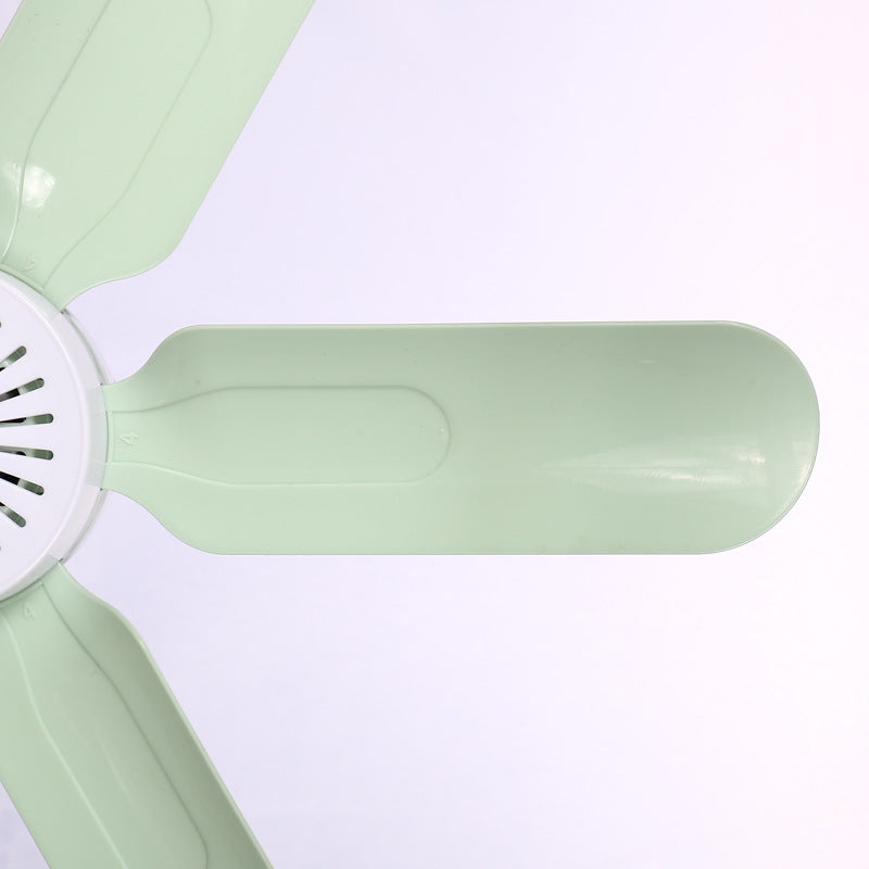 Women's ceiling fan with translucent blades and quiet operation Kalsten