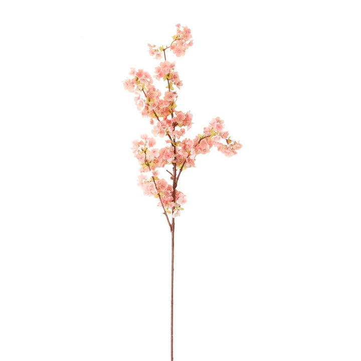 Elegant Botanical Decoration
