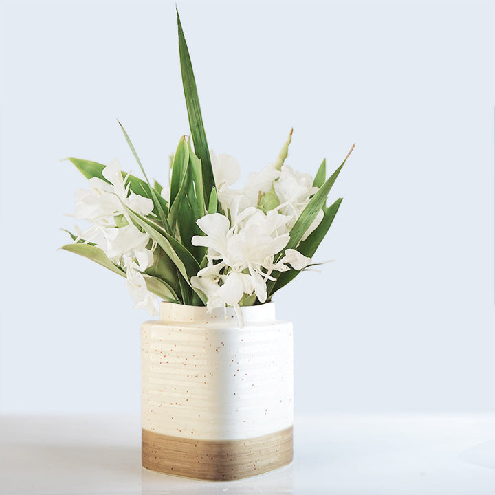 Decorative ceramic container Kalsten