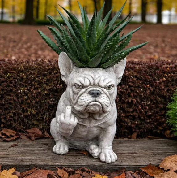 Decorative Dog Plant Kalsten