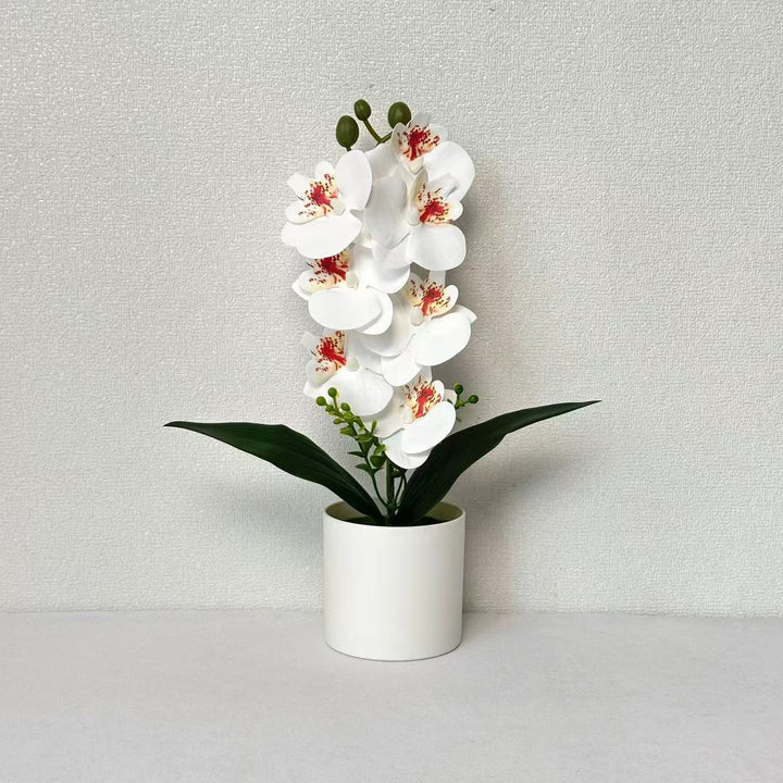 Lifelike Orchid Flower Decoration