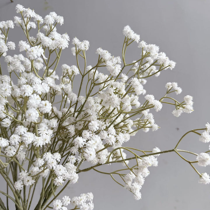 Decorative Floral