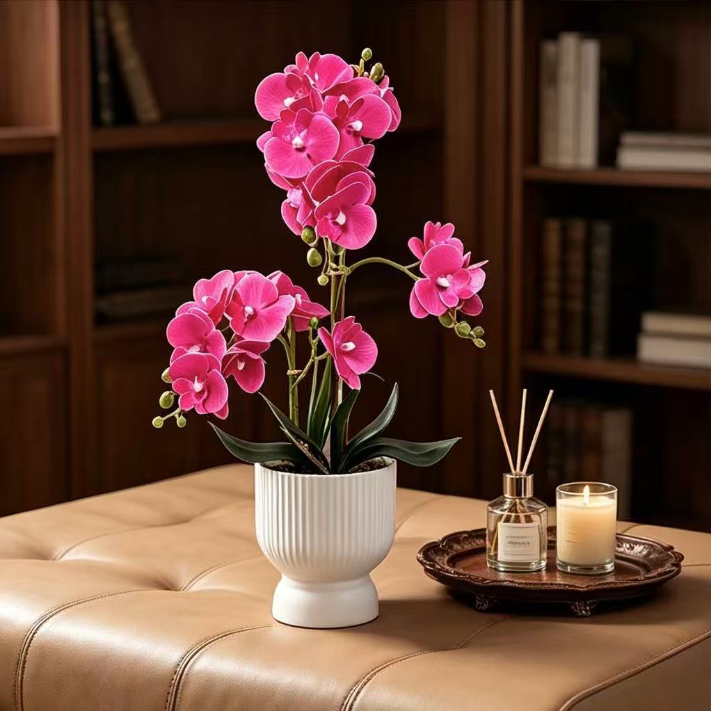 Decorative Orchid Plant Arrangement 1790480695 for Decor