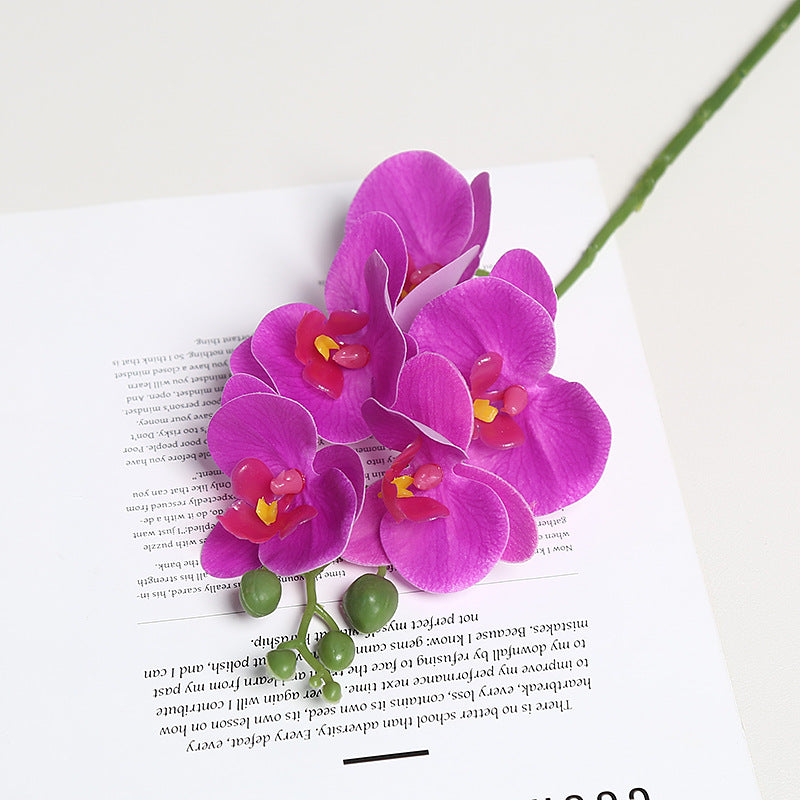 Realistic Orchid Floral Stem