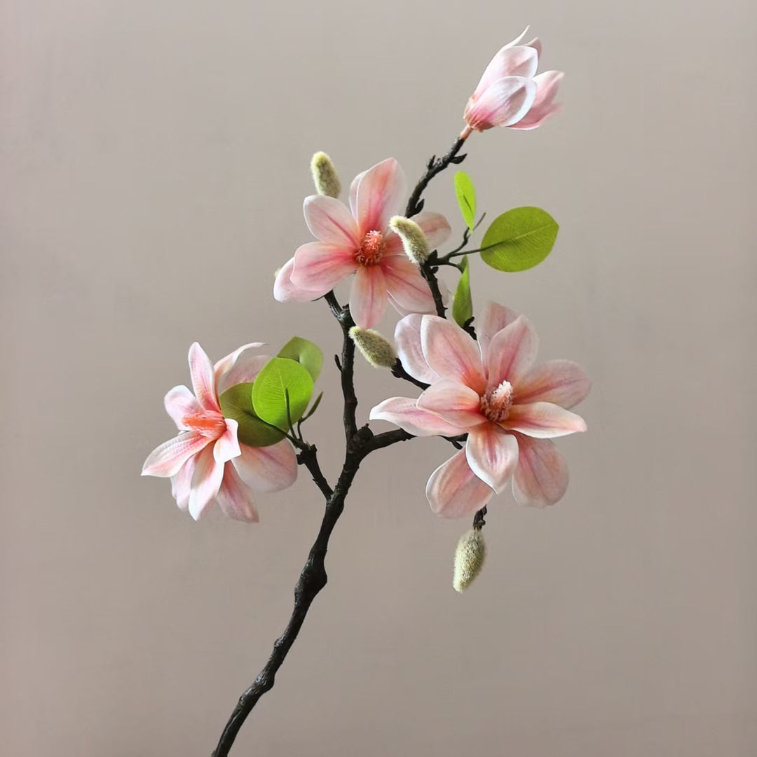 Elegant Magnolia Stem