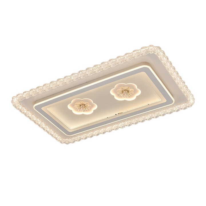 Contemporary Ceiling Light