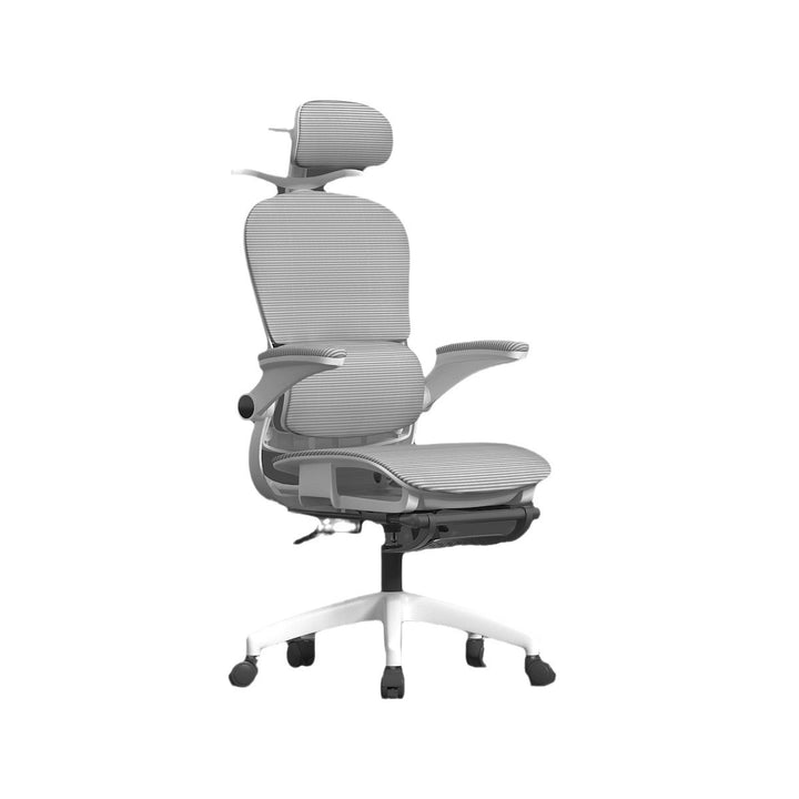 Adjustable Lumbar Support Office Chair Kalsten