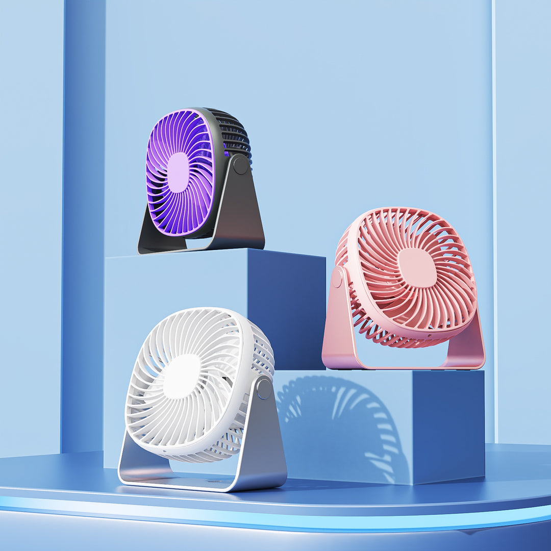 Fan Kalsten