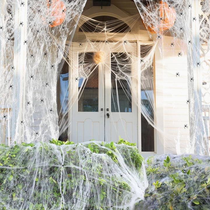 Halloween Spider Web Decoration