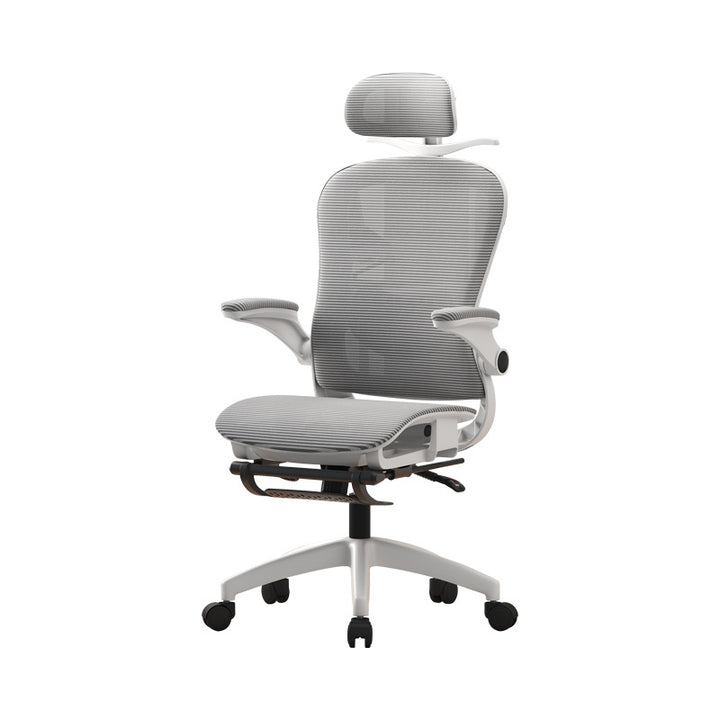 Ergonomic Office Chair Kalsten