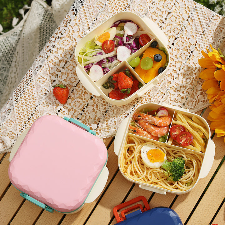 Stylish Multi-Compartment Lunch Box