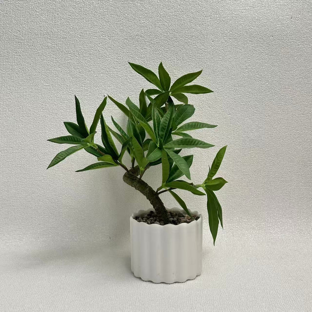 Decorative Potted Fern Plant for Home Decor Display