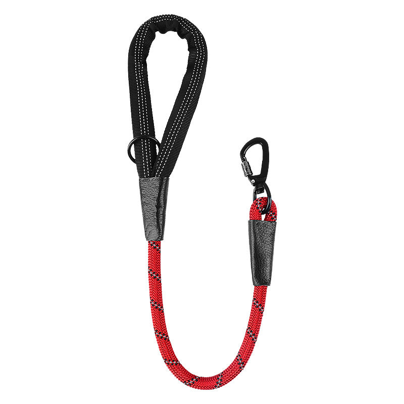 Dog Leash