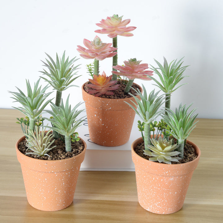 Artificial Succulent Plant Arrangement