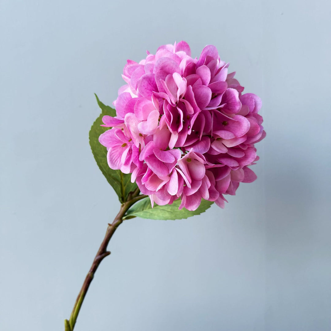 Floral Decorative